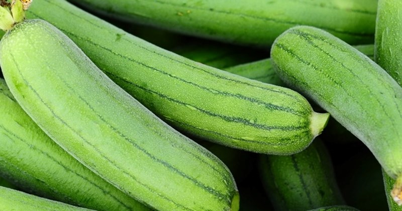 Mẹo cho chị em nội trợ chế biến mướp hương giải nhiệt mùa hè