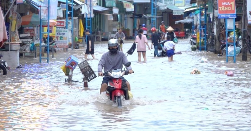 Học sinh Cần Thơ dùng AI tìm giải pháp cho đô thị ngập lụt