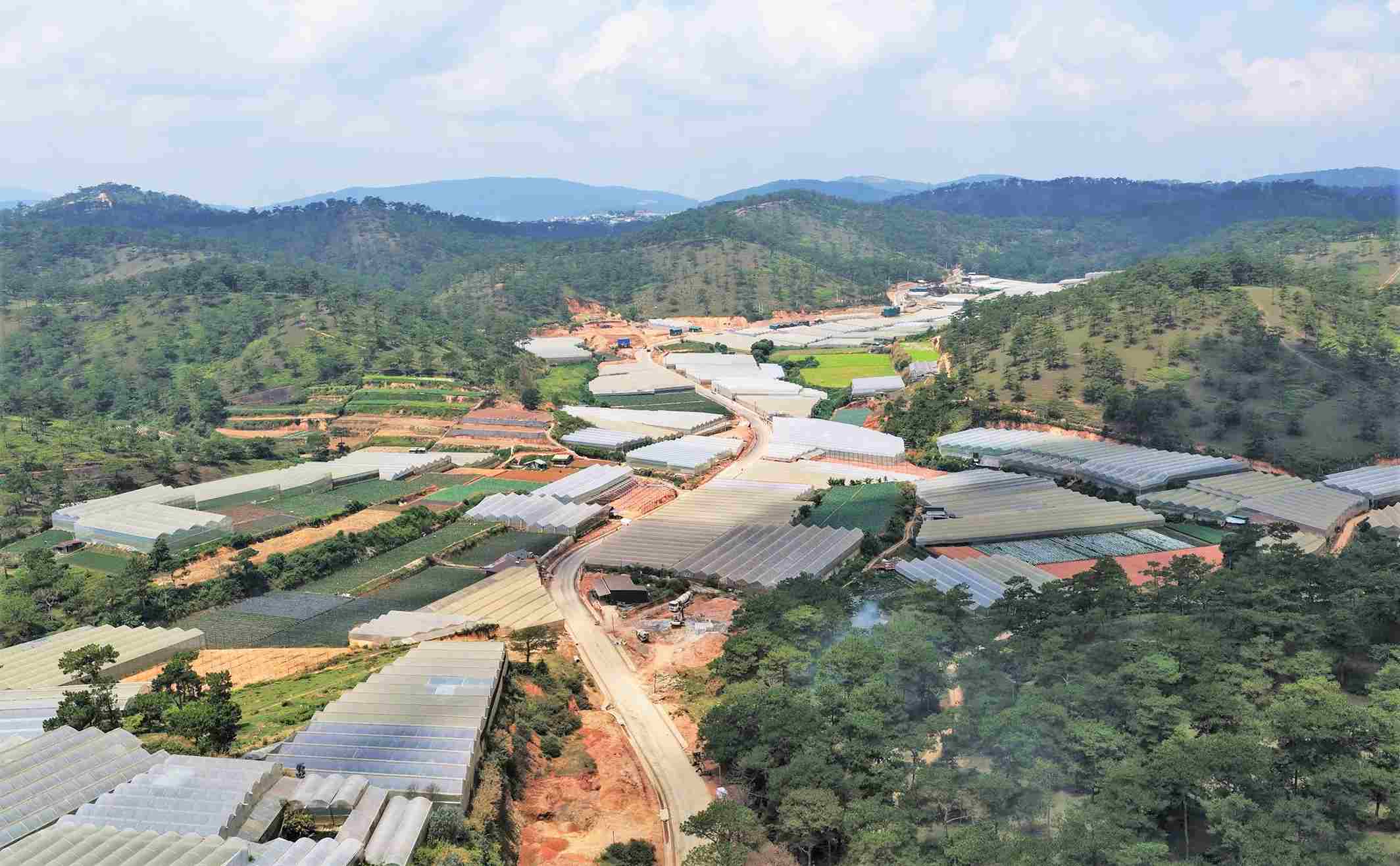 Cam Ly - Phuoc Thanh road is a traffic axis connecting the western and northern urban areas of Da Lat. Photo: Phuc Khanh