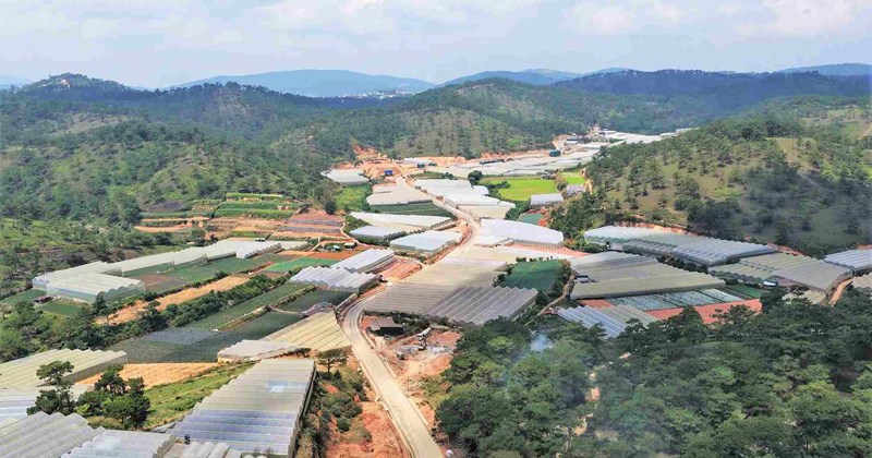 Dự án 400 tỷ đồng ở Lâm Đồng chờ 80 mét đường để thông tuyến