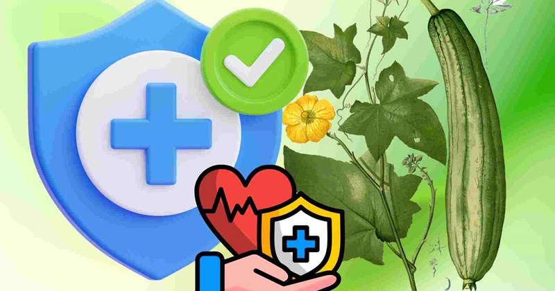 Lưu ý khi ăn mướp để tốt cho sức khỏe