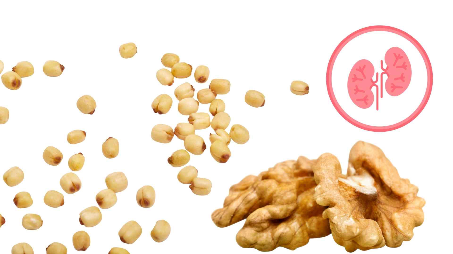 Familiar foods that help nourish the kidneys. Graphics: Ha May