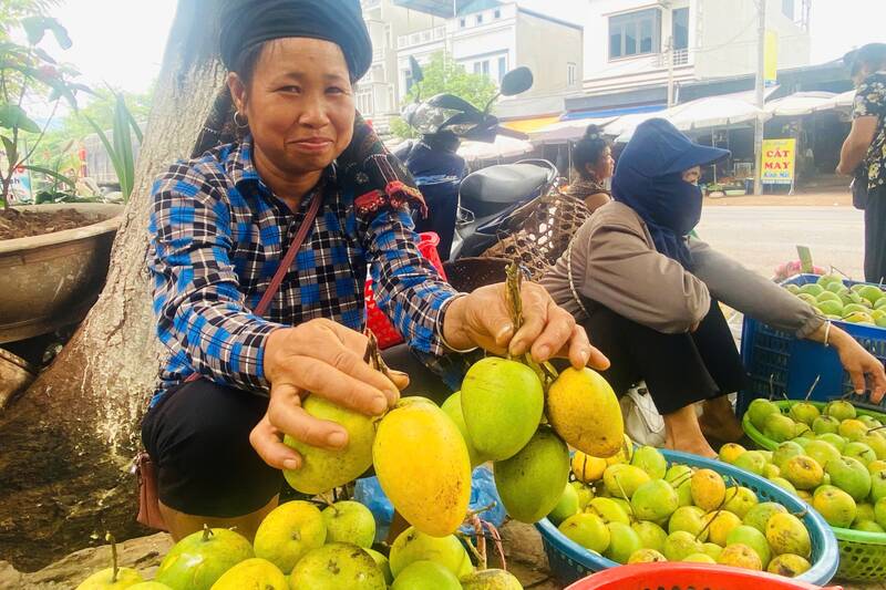 Bà con bán xoài tròn tại khu vực tiểu khu 5, xã Yên Châu, tỉnh Sơn La. Ảnh: Trường SƠn