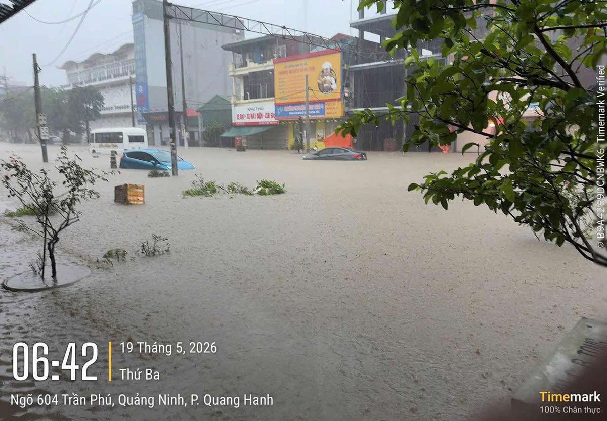 Localized flooding on 1 road in Quang Ninh province makes many vehicles unable to move. Photo: People provided