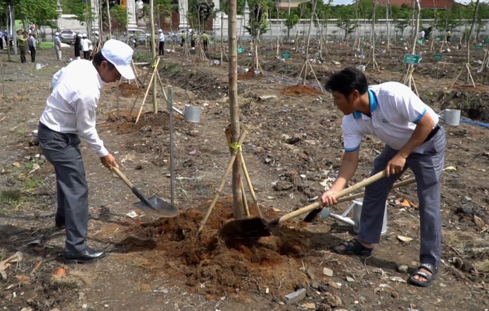 Ho Chi Minh City joins hands to plant trees and develop urban green space
