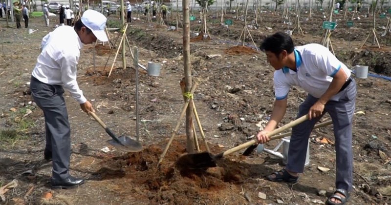 TP.HCM chung tay trồng cây, phát triển không gian xanh