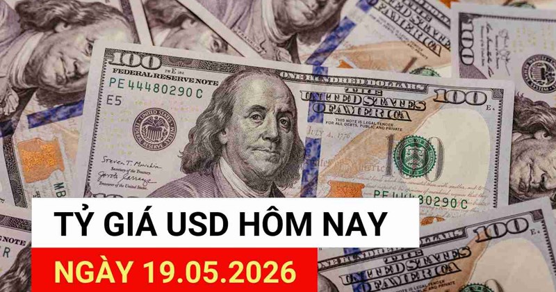 Tỷ giá USD ngày 19/5: Tỷ giá trung tâm tiếp tục tăng