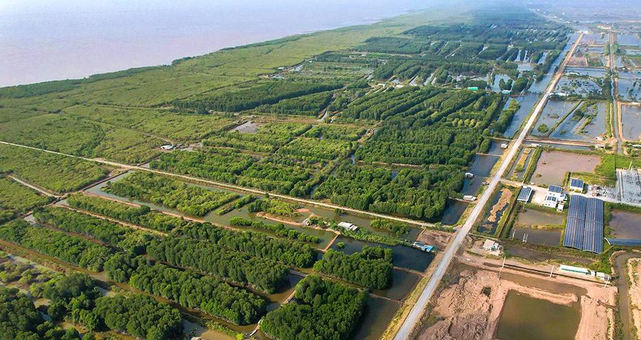 Ca Mau's rich and diverse marine ecosystem has great potential for development. Photo: Nhat Ho.