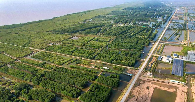 Cà Mau đặt mục tiêu kinh tế biển đóng góp 45% vào thu ngân sách