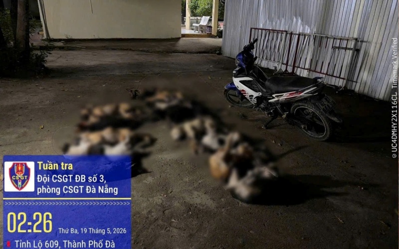 Gặp CSGT Đà Nẵng trong đêm, 2 thanh niên bỏ lại xe chở chó rồi tẩu thoát. Ảnh: CACC