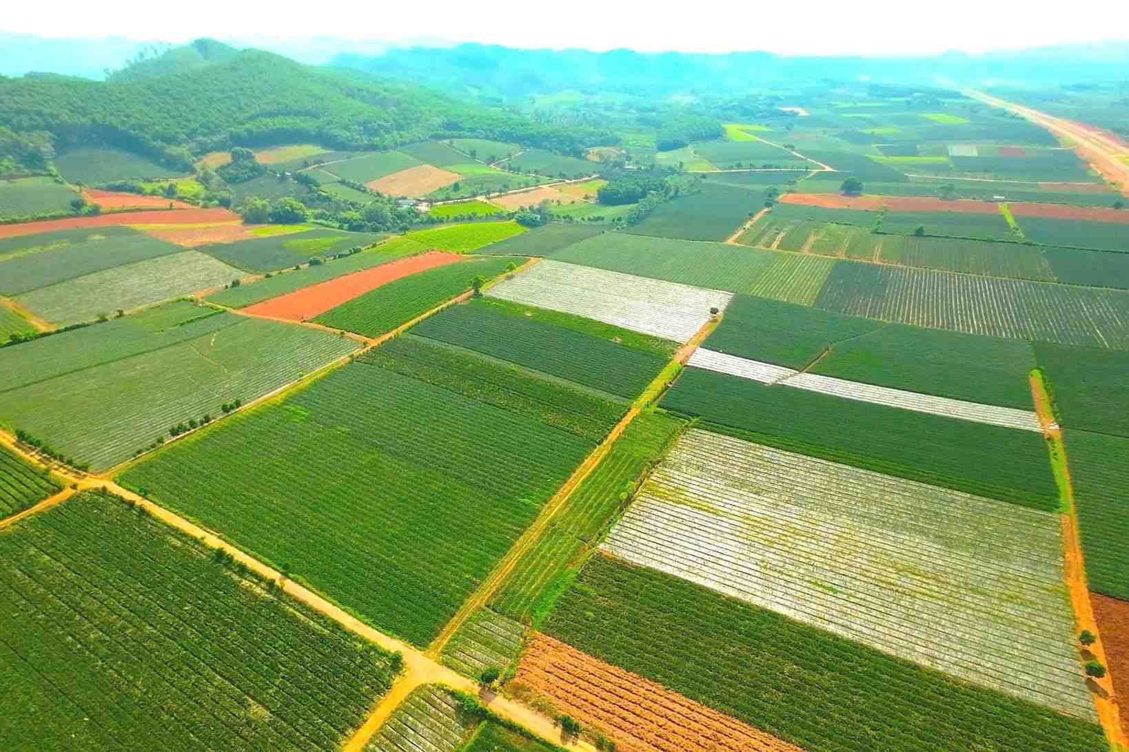 Dong Giao Farm has continuously risen, becoming a high-tech agricultural enterprise. Photo: Dieu Anh