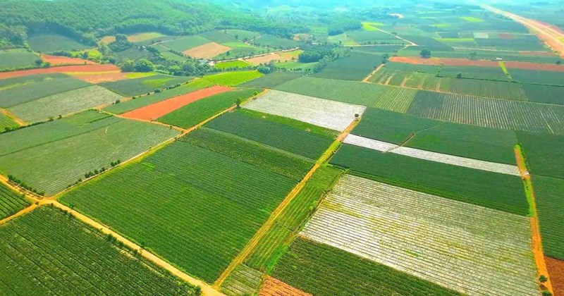Đồng Giao khắc ghi lời Bác Hồ "Làm cho đất nở hoa"