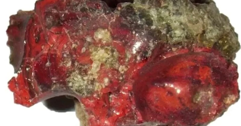 Phát hiện chấn động tại địa điểm vụ nổ hạt nhân đầu tiên