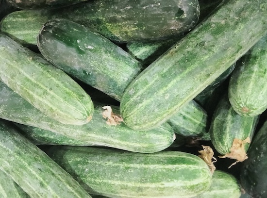 Cucumber is considered one of the vegetables good for kidney health on hot sunny days. Photo: Kieu Vu