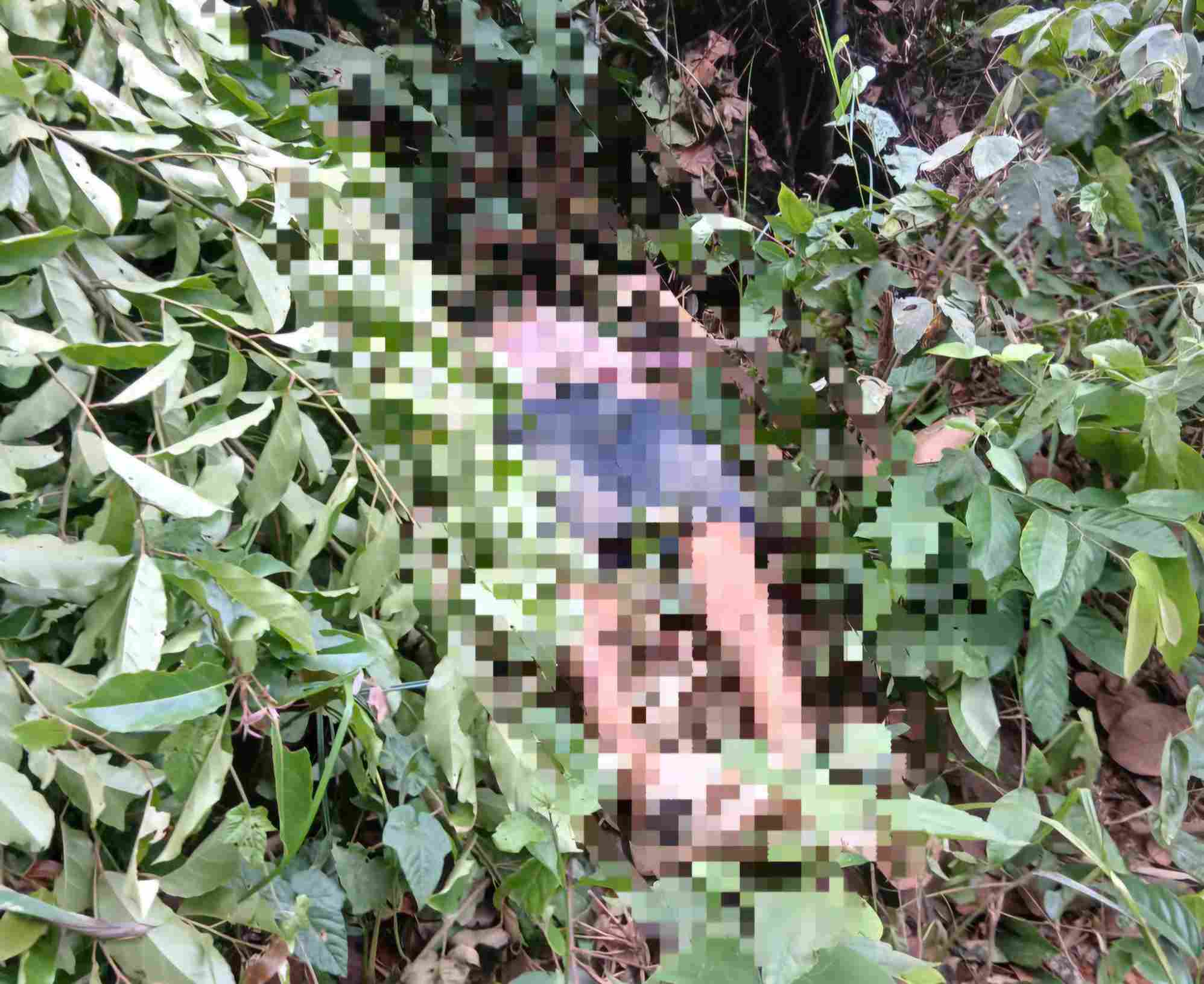 Hiện trường phát hiện người đàn ông đi bẫy chim tử vong trên đèo Bảo Lộc. Ảnh: Phúc Khánh