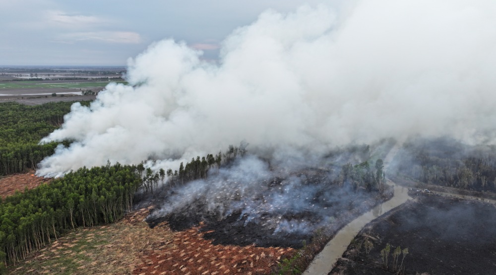 The forest fire in Co To commune occurred on May 4, 2026. Photo: Phuong Vu
