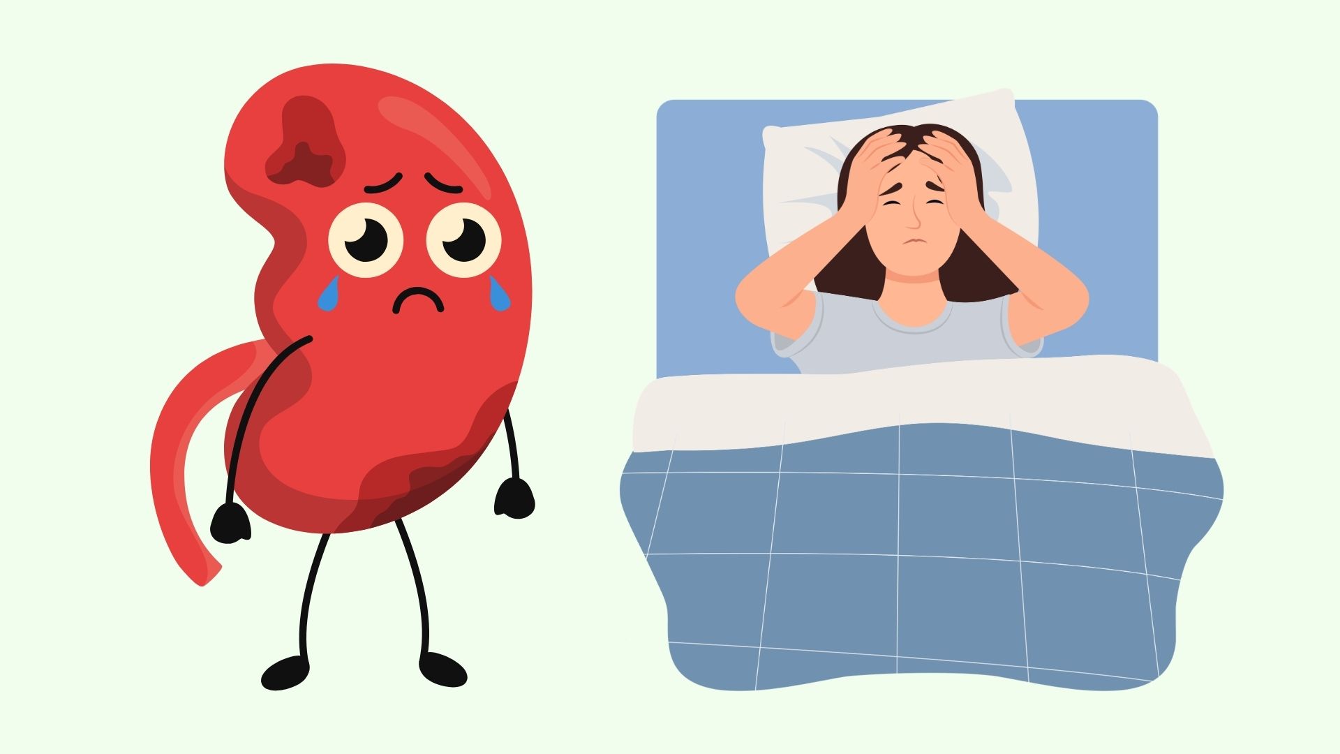 How are the kidneys when insomnia is prolonged? Graphics: Linh DAN