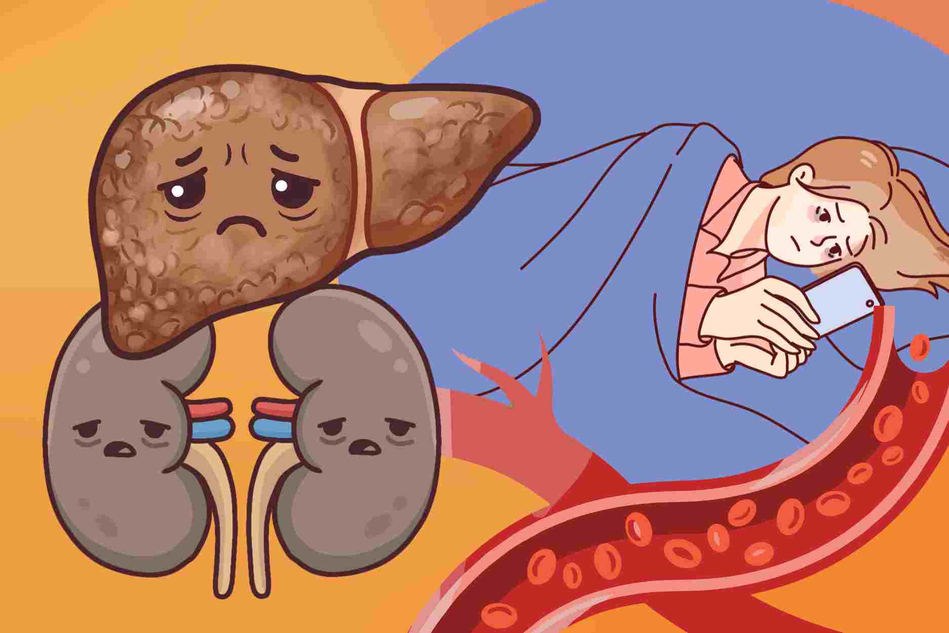 What happens to blood, liver, and kidneys when you sleep after 12 pm?