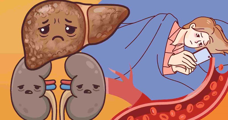 Ngủ sau 12 giờ đêm: Máu, gan, thận bị ảnh hưởng thế nào?