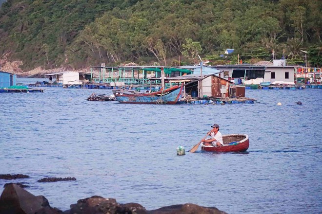 Nha Trang Bay Management Board has just issued an open letter calling for joint efforts to preserve the environment. Photo: Bich Dam