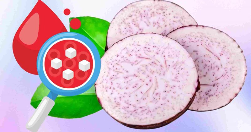 Củ chứa nhiều tinh bột kháng, hỗ trợ kiểm soát đường huyết