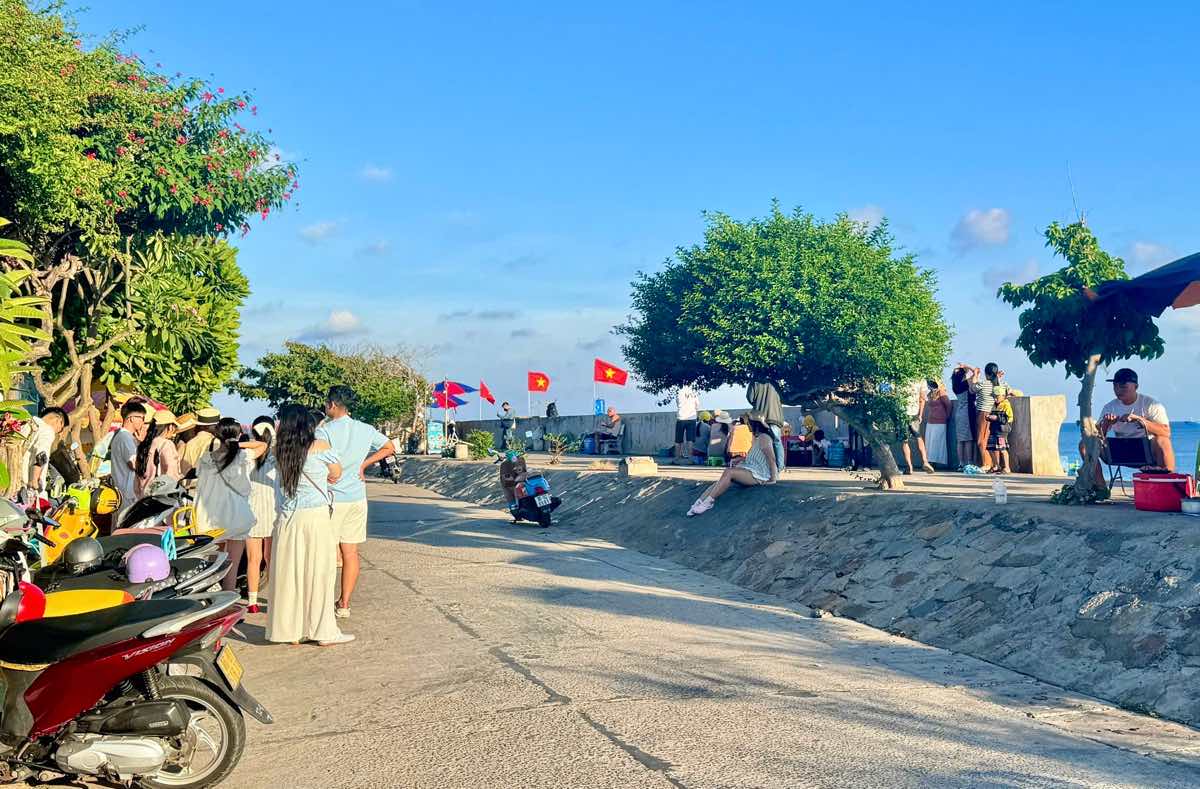 Cây cô đơn lúc nào cũng đông du khách do vẻ đẹp thú vị. Ảnh: Duy Tuấn 