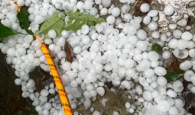 The ice rain with a size as big as the toe just happened in Dien Bien. Photo: NDCC