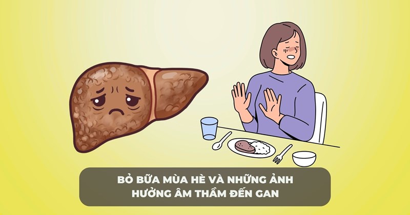 Bỏ bữa hè và những hệ lụy thầm lặng cho gan