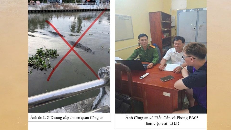 Tieu Can Commune Police forces coordinate to inspect and verify the river area after reports of fake crocodiles appearing. Photo: Tieu Can Police
