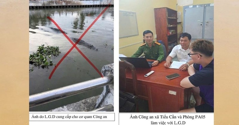 Công an xác định tin cá sấu ở sông Tiểu Cần là giả
