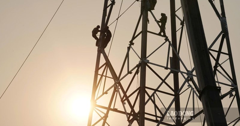 Công nhân gấp rút dựng cột điện 110kV