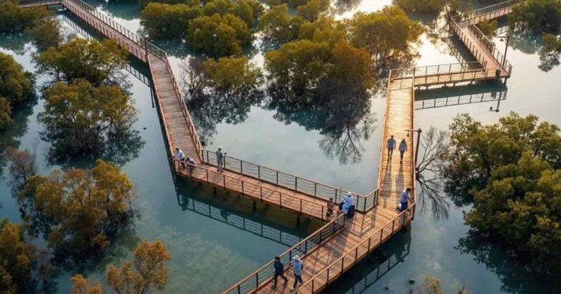 Quảng Ninh: Công viên câu cá ngập mặn lớn nhất thế giới