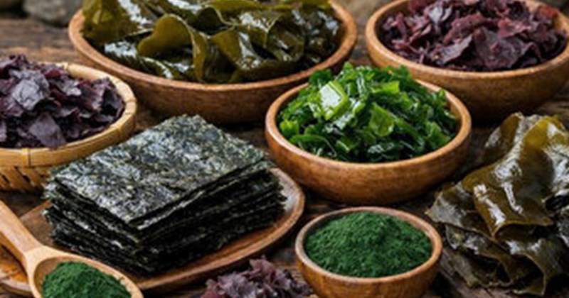 Giải độc gan: Thực phẩm giúp cơ thể loại bỏ kim loại nặng