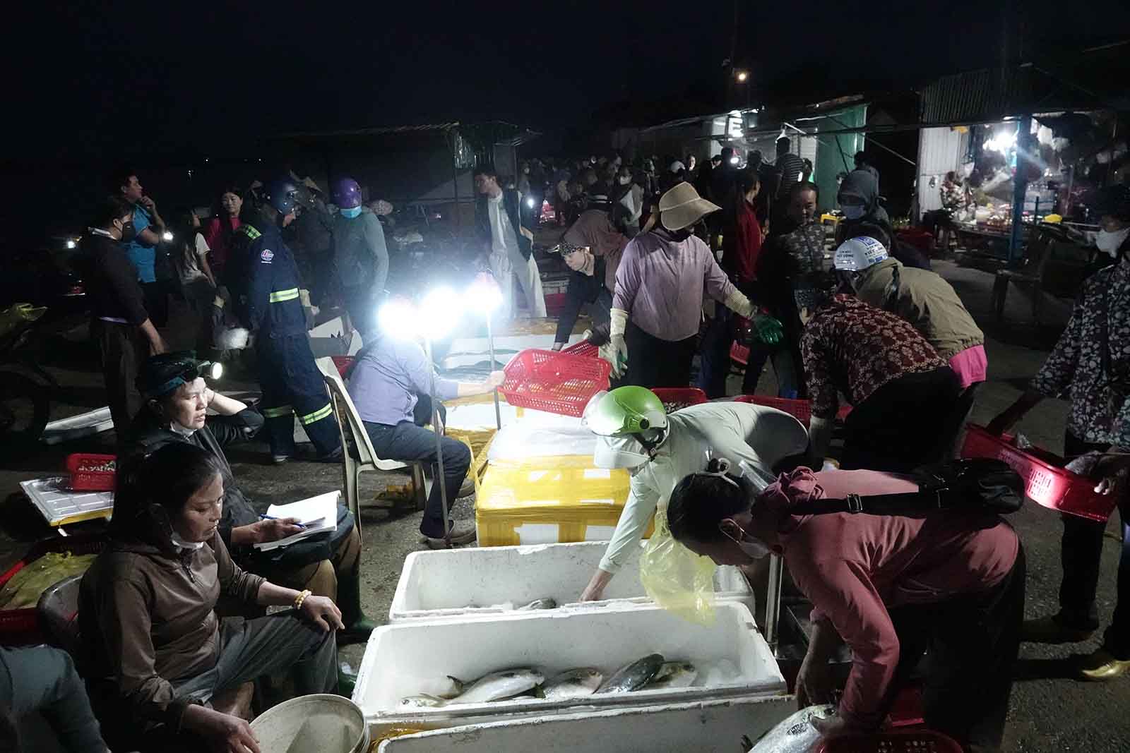 Bustling trading scene at dawn at Cua Sot fishing port. Photo: Tran Tuan