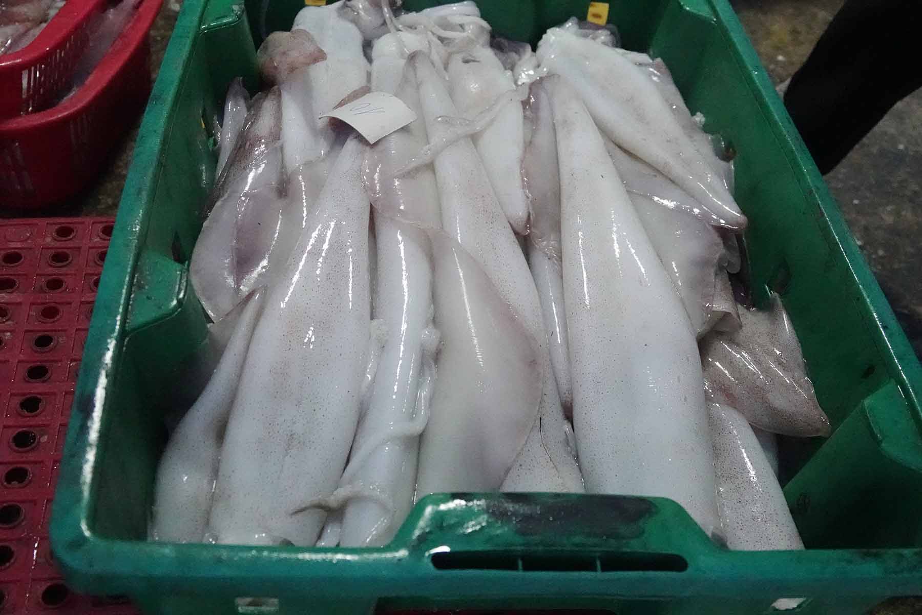 Mực lá tươi rói. Ảnh: Trần Tuấn