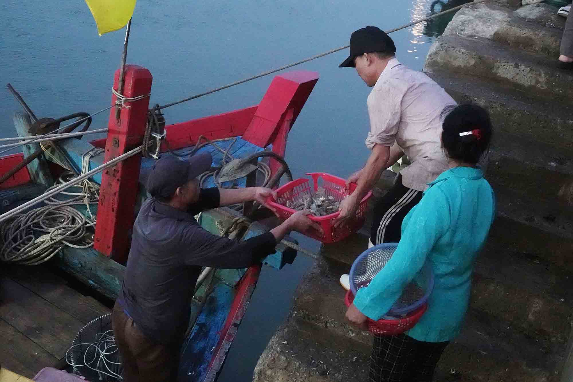Ngư dân khẩn trương chuyển hải sản từ khoang tàu lên bờ để bán cho tiểu thương. Ảnh: Trần Tuấn