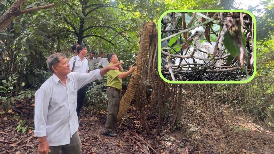 The working delegation of the Department of Agriculture and Environment of Vinh Long province surveyed the reality at Hai Chia Bird Garden on May 20. Photo: Hoang Loc