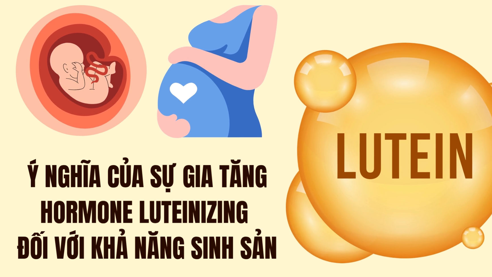 The significance of the increase in luteinizing hormone for fertility.
