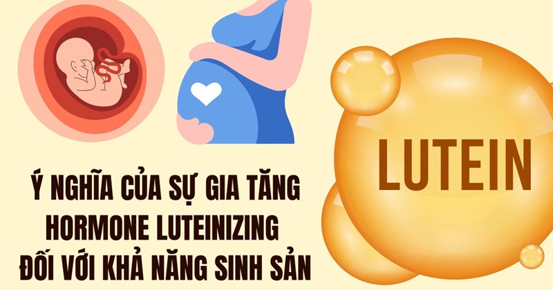 Ý nghĩa của hormone Luteinizing (LH) tăng cao đối với khả năng sinh sản