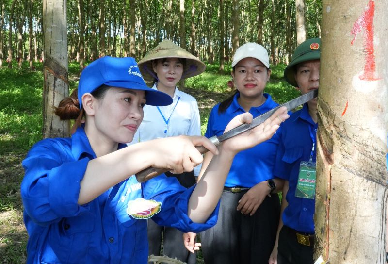 The skilled workers contest is an opportunity for latex tappers to affirm their skills, and at the same time discover and nurture typical factors contributing to building the Company to develop more and more. Photo: Thanh Sang