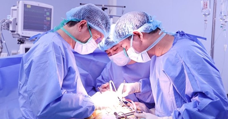 90% ca ghép tạng vẫn phải chờ người hiến còn sống