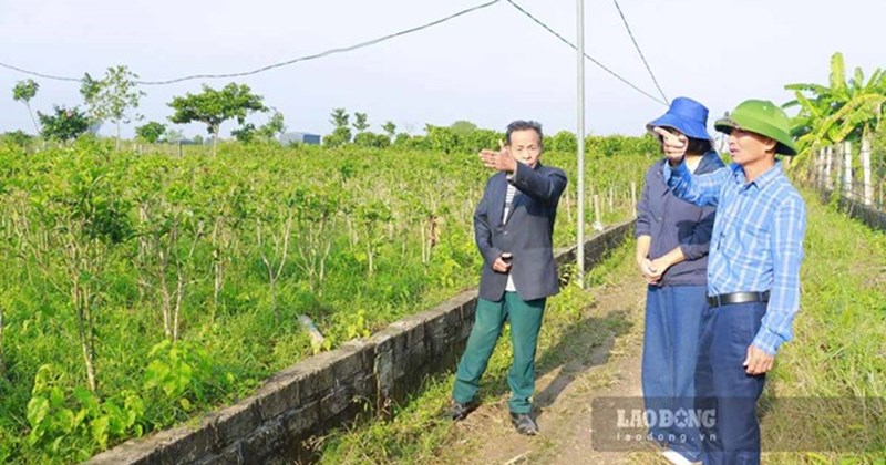 Hưng Yên đẩy nhanh tiến độ dự án đường từ phường Thái Bình đến Hưng Hà