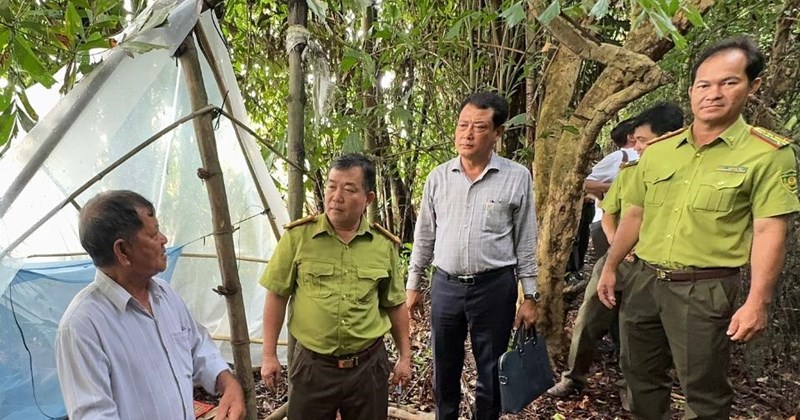 Vườn chim Hai Chia và 20 năm "mắc nợ" với chim hoang dã