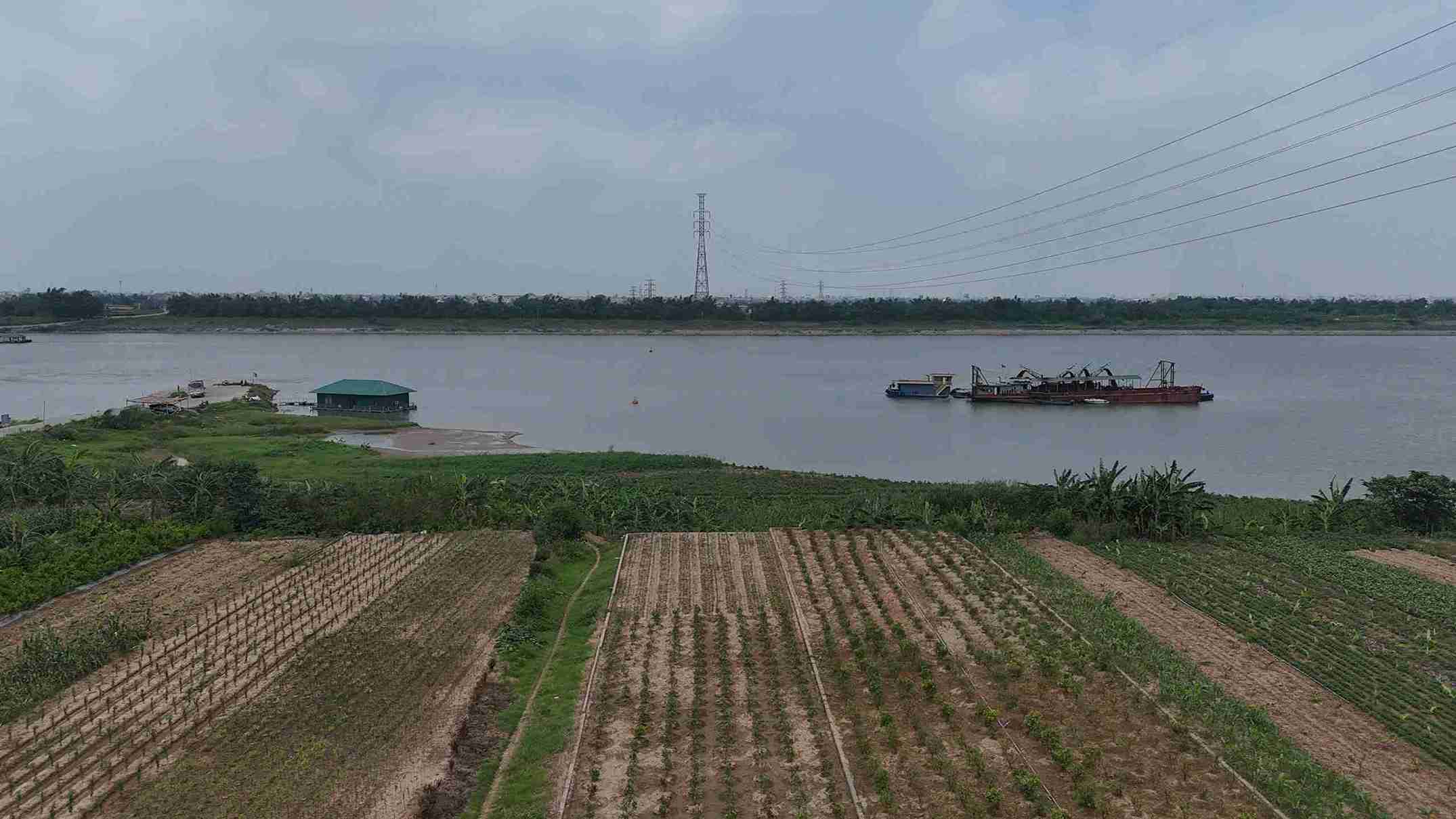 Khu vực bãi bồi ven sông Hồng ở xã Châu Ninh, tỉnh Hưng Yên. Ảnh: Mai Hương