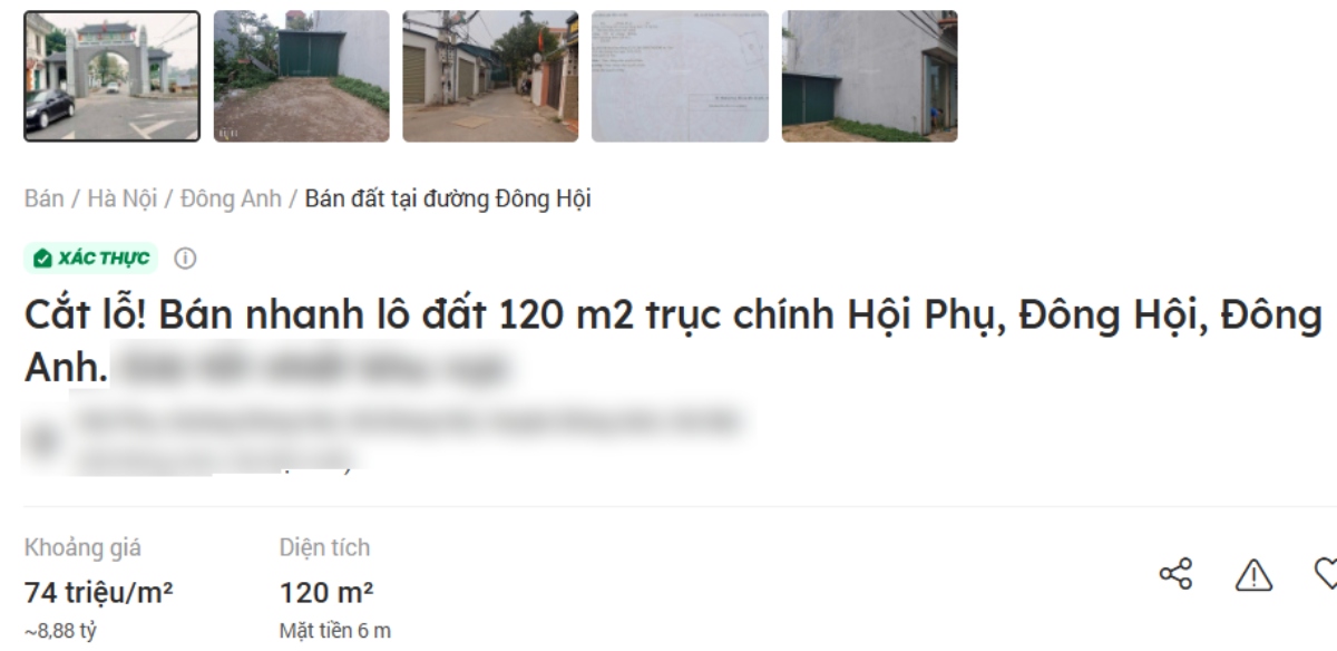 Nhiều người rao bán “cắt lỗ” đất nền tại xã Đông Anh, Hà Nội. Ảnh: Như Hạ