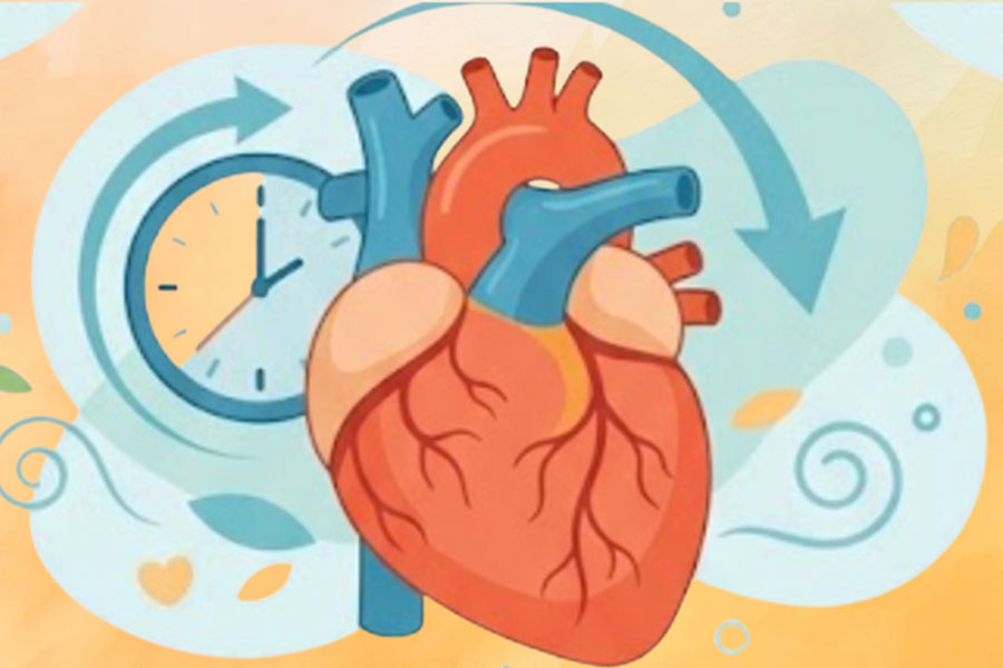 Simple changes that help slow down cardiovascular aging