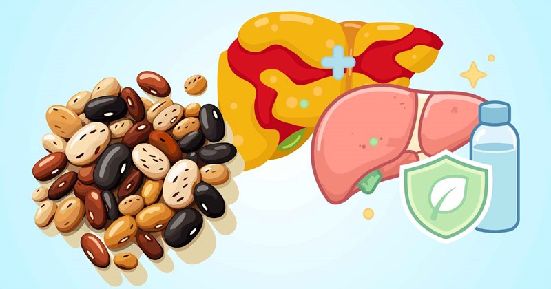 Đậu hỗ trợ giải độc, giảm mỡ gan hiệu quả