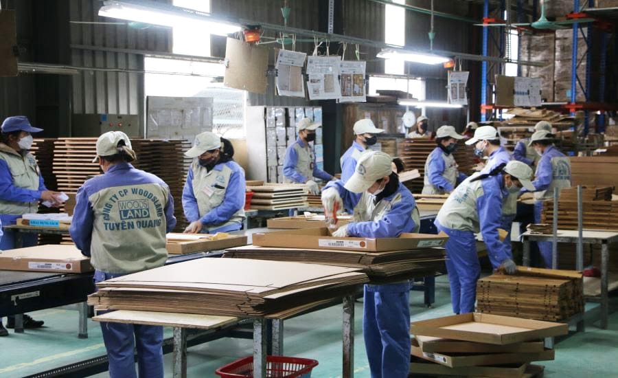 Many businesses have promoted technical improvements and improved the working environment for workers. Photo: Nguyen Tung