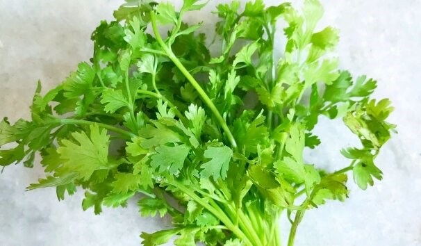 Parsley contains a large amount of vitamins A, C, K and antioxidant compounds. Photo: Kieu Vu