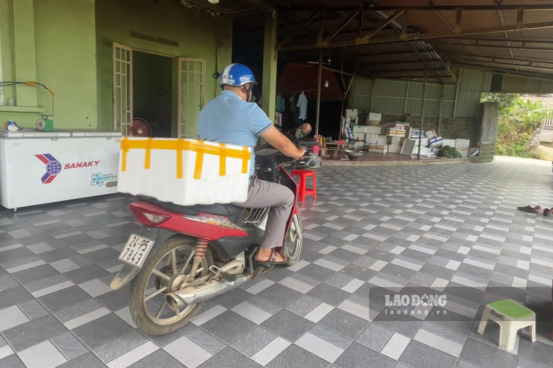 Sau nhiều công đoạn, những ống cơm lam được hút chân không, bảo quản trong tủ đồng và sẵn sàng chở đến nơi tiêu thụ. Ảnh: Đinh Đại